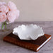Beatriz Ball Serveware Beatriz Ball VIDA Colette Medium Bowl (White)