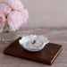 Beatriz Ball Serveware Beatriz Ball VIDA Colette Mini Bowls Set of 4 (White)
