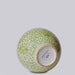 Cobalt Guild Home Decor Green and White Porcelain Scrolling Lotus Globe Vase