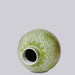 Cobalt Guild Home Decor Green and White Porcelain Scrolling Lotus Globe Vase