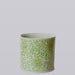 Cobalt Guild Home Decor Scrolling Chrysanthemum Green and White Porcelain Cachepot