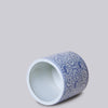 Cobalt Guild Home Decor Small Blue and White Porcelain Scrolling Peony Cachepot