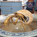 Danny's Fine Porcelain Home Decor Danny's Fine Porcelain 10L X 7W X 5H PORCELAIN HERMIT CRAB WITH BRONZE- CORAL 14077