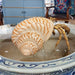 Danny's Fine Porcelain Home Decor Danny's Fine Porcelain 10L X 7W X 5H PORCELAIN HERMIT CRAB WITH BRONZE- CORAL 14077