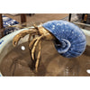 Danny's Fine Porcelain Home Decor Danny's Fine Porcelain 9L X 7W X 5H PORCELAIN / BRONZE CRAB IN SHELL- BLUE 14045