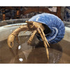 Danny's Fine Porcelain Home Decor Danny's Fine Porcelain 9L X 7W X 5H PORCELAIN / BRONZE CRAB IN SHELL- BLUE 14045