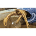 Danny's Fine Porcelain Home Decor Danny's Fine Porcelain 9L X 7W X 5H PORCELAIN / BRONZE CRAB IN SHELL- BLUE 14045