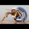 Danny's Fine Porcelain Home Decor Danny's Fine Porcelain 9L X 7W X 5H PORCELAIN / BRONZE CRAB IN SHELL- BLUE 14045