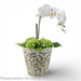Danny's Fine Porcelain Home Decor Danny's Fine Porcelain Antique Finish Pot-Brown Rust Flower
