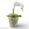 Danny's Fine Porcelain Home Decor Danny's Fine Porcelain Antique Finish Pot-Brown Rust Flower