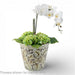Danny's Fine Porcelain Home Decor Danny's Fine Porcelain Antique Finish Pot-Brown Rust Flower