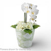 Danny's Fine Porcelain Home Decor Danny's Fine Porcelain Antique Finish Pot-Green Big Flower