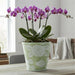 Danny's Fine Porcelain Home Decor Danny's Fine Porcelain Antique Finish Pot-Green Big Flower