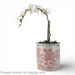Danny's Fine Porcelain Home Decor Danny's Fine Porcelain Antique Finish Pot-Red Bird