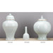 Danny's Fine Porcelain Home Decor Danny's Fine Porcelain Ballon Jar - Sky 50447