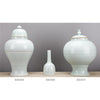 Danny's Fine Porcelain Home Decor Danny's Fine Porcelain Ballon Jar - Sky 50447