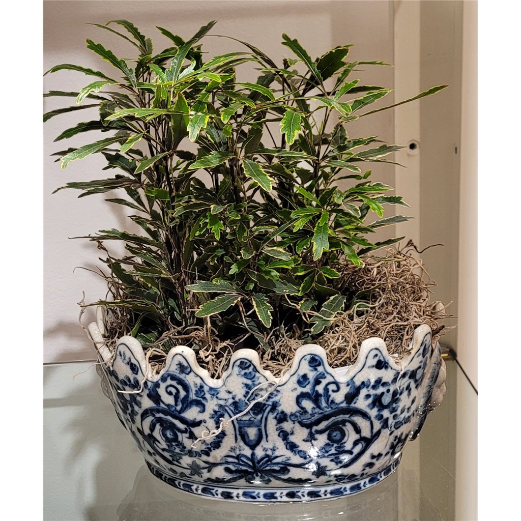 Danny's Fine Porcelain Home Decor Danny's Fine Porcelain Basin-Azure Casey