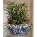 Danny's Fine Porcelain Home Decor Danny's Fine Porcelain Basin-Azure Casey