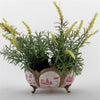 Danny's Fine Porcelain Home Decor Danny's Fine Porcelain Basin With Bronze-Pink Willow 14269