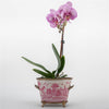 Danny's Fine Porcelain Home Decor Danny's Fine Porcelain Basin With Bronze-Pink Willow 14270