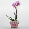 Danny's Fine Porcelain Home Decor Danny's Fine Porcelain Basin With Bronze-Pink Willow 14270