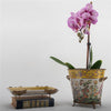 Danny's Fine Porcelain Home Decor Danny's Fine Porcelain Basin With Bronze-Wild Breeze 14272