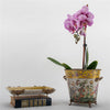 Danny's Fine Porcelain Home Decor Danny's Fine Porcelain Basin With Bronze-Wild Breeze 14272