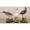Danny's Fine Porcelain Home Decor Danny's Fine Porcelain Bird 60133