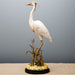 Danny's Fine Porcelain Home Decor Danny's Fine Porcelain Bird Figurine 60349