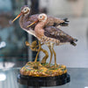 Danny's Fine Porcelain Home Decor Danny's Fine Porcelain Bird Figurine 60350