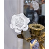 Danny's Fine Porcelain Home Decor Danny's Fine Porcelain Bird Figurine 60357