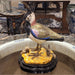 Danny's Fine Porcelain Home Decor Danny's Fine Porcelain Bird Haven - Series #3