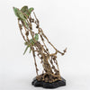 Danny's Fine Porcelain Home Decor Danny's Fine Porcelain Birds On Tree Branch Bronze 61001