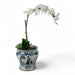 Danny's Fine Porcelain Home Decor Danny's Fine Porcelain Blue & White Basin – Longevity Motif