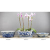 Danny's Fine Porcelain Home Decor Danny's Fine Porcelain Blue & White Lipped Basin