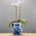 Danny's Fine Porcelain Home Decor Danny's Fine Porcelain Blue & White Planter