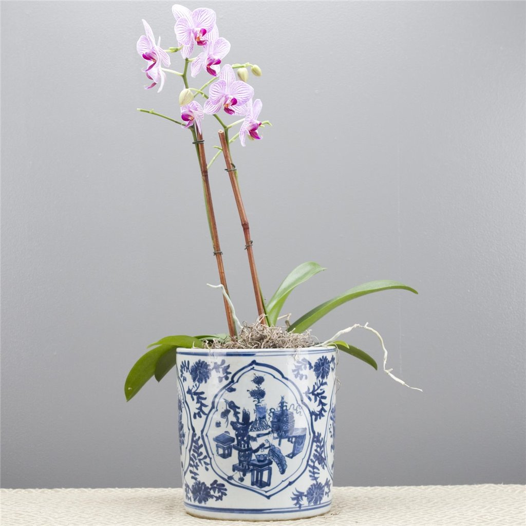Danny's Fine Porcelain Home Decor Danny's Fine Porcelain Blue & White Round Pot