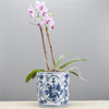 Danny's Fine Porcelain Home Decor Danny's Fine Porcelain Blue & White Round Pot