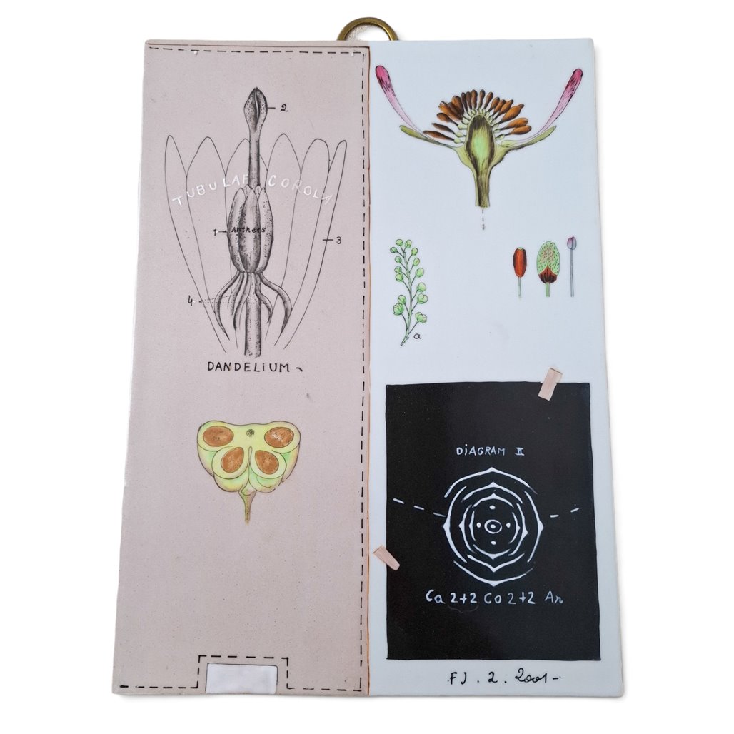 Danny's Fine Porcelain Home Decor Danny's Fine Porcelain Botanical Study Wall Artdecorative Wall Panel Combining Botanical - CLOSEOUT SAMPLE SALE