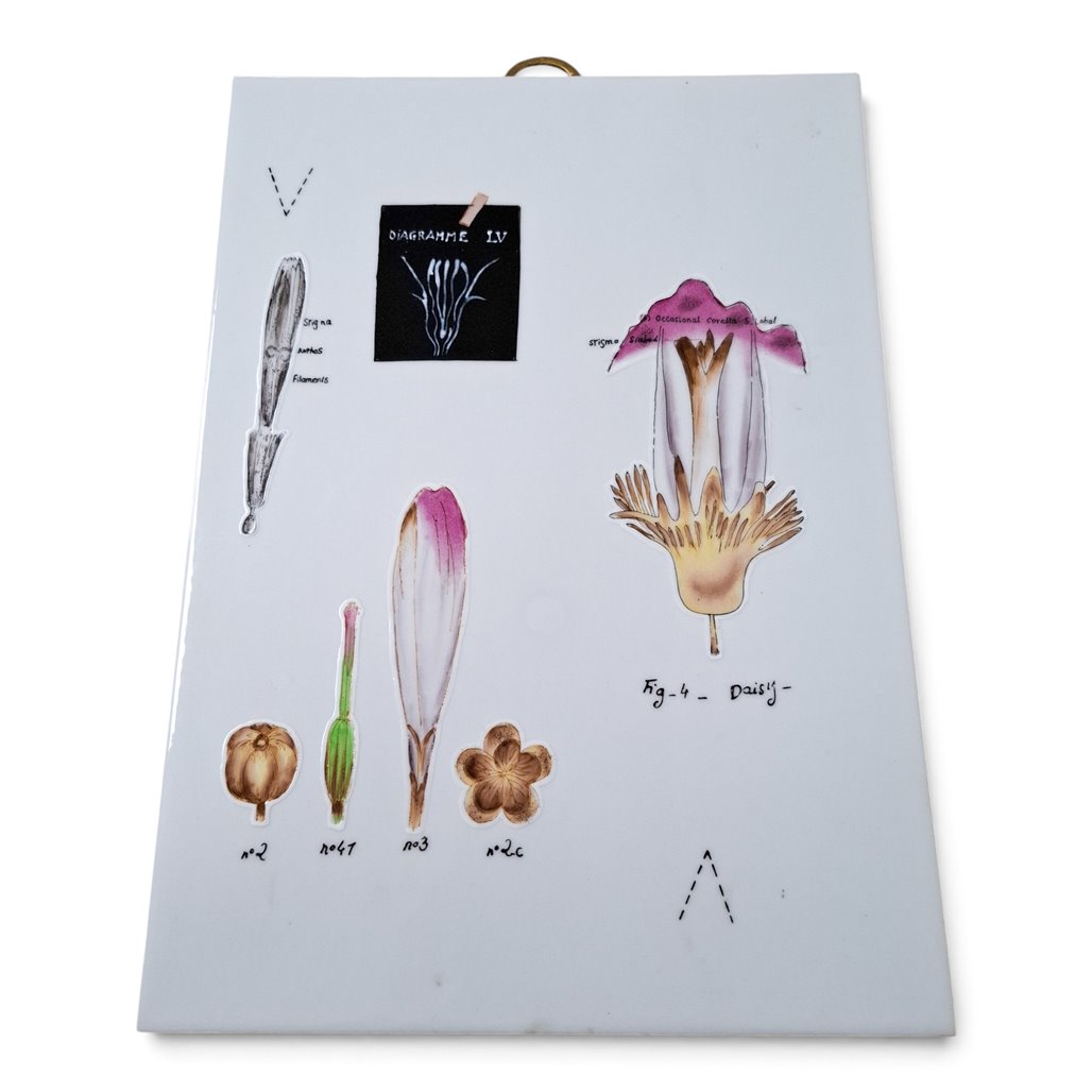 Danny's Fine Porcelain Home Decor Danny's Fine Porcelain Botanical Study Wall Artdecorative Wall Panel Featuring Delicate Botanical - CLOSEOUT SAMPLE SALE