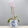 Danny's Fine Porcelain Home Decor Danny's Fine Porcelain Classic Pot- Blue & White Kirin