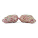 Danny's Fine Porcelain Home Decor Danny's Fine Porcelain Classic Staffordshire Bunnies with A Twist! Lovely Pair of Pink Floral