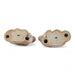 Danny's Fine Porcelain Home Decor Danny's Fine Porcelain Classic Staffordshire Dogs with A Twist! Lovely Pair of Pink Floral