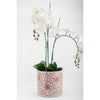 Danny's Fine Porcelain Home Decor Danny's Fine Porcelain Cylinder Basin Light Red Floral