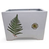 Danny's Fine Porcelain Home Decor Danny's Fine Porcelain Fern Planterwhite Square Planter Featuring A Simple Green Fern Motif - CLOSEOUT SAMPLE SALE
