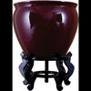 Danny's Fine Porcelain Home Decor Danny's Fine Porcelain Fishbowl - Oxblood Red 41016