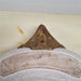Danny's Fine Porcelain Home Decor Danny's Fine Porcelain Five Sectioned Dish - King's Court