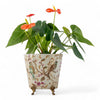 Danny's Fine Porcelain Home Decor Danny's Fine Porcelain Floral & Bird Pattern Oval Planter with Bronze Ormolu in Spring