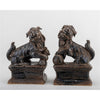 Danny's Fine Porcelain Home Decor Danny's Fine Porcelain Foo Dog Aged Black - Pair 51150