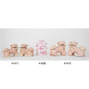 Danny's Fine Porcelain Home Decor Danny's Fine Porcelain Foo Dog Lion Pink